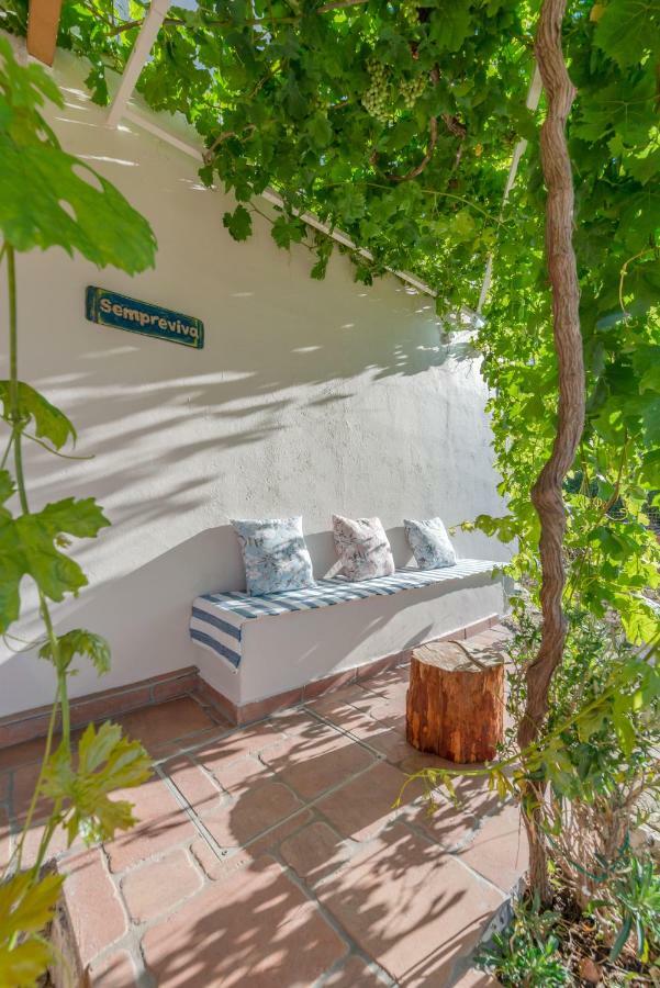 Sempreviva Villa Agios Leon Екстериор снимка