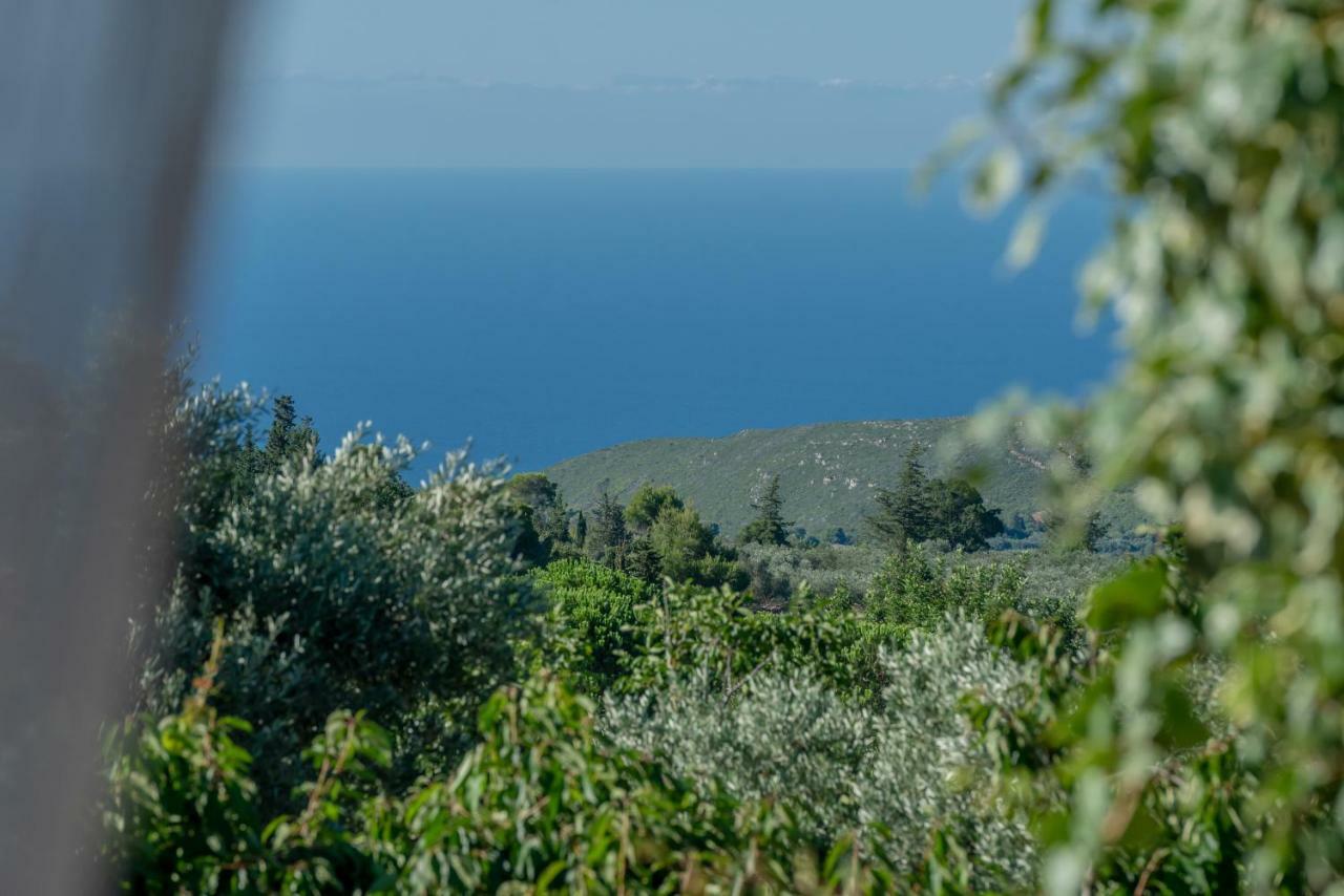 Sempreviva Villa Agios Leon Екстериор снимка