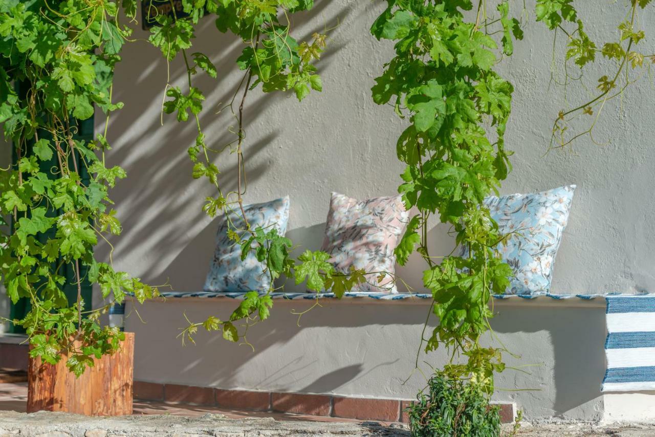 Sempreviva Villa Agios Leon Екстериор снимка